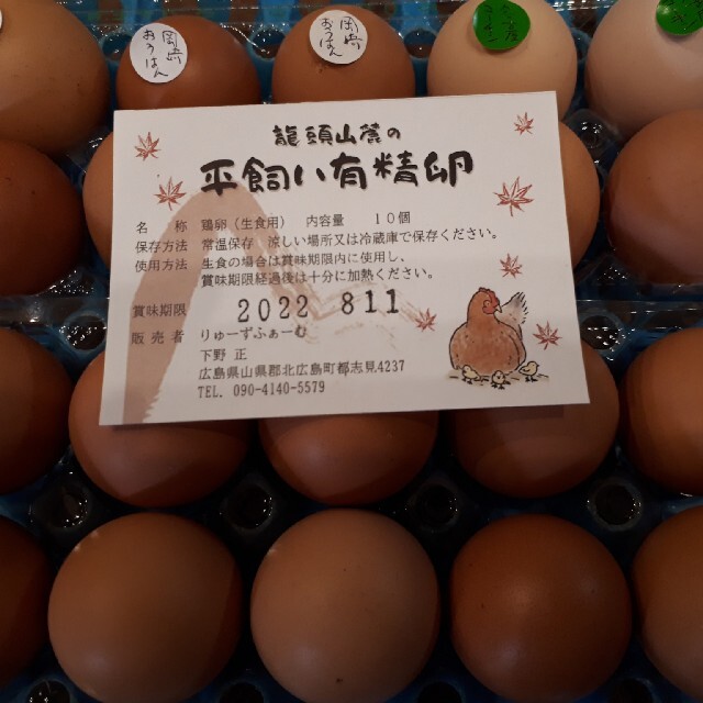 広島県龍頭山麓平飼い卵有精卵20個 食品/飲料/酒の食品(その他)の商品写真