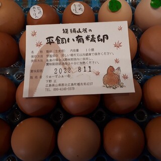 広島県龍頭山麓平飼い卵有精卵20個(その他)