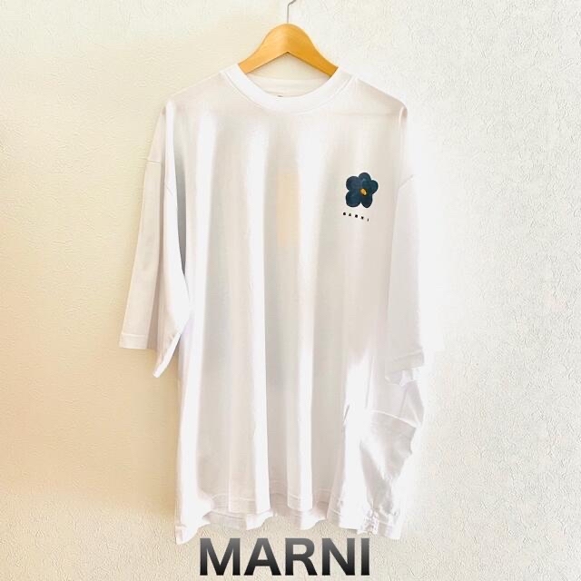 デイジープリント MARNI マルニ Tシャツ ホワイト 驚きの値段 www