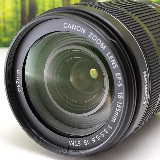 Canon EF-S 18-135mmSTM☆手ぶれ補正つきレンズ☆2980-1