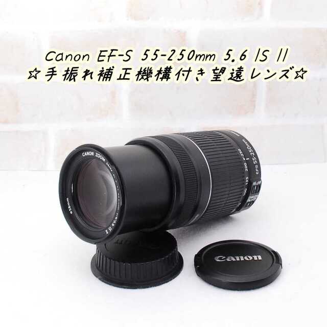 Canon マウントアダプター＆EF-S 55-250mm IS 手ぶれ補正‼️