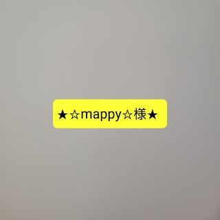 ★☆mappy☆様★(その他)