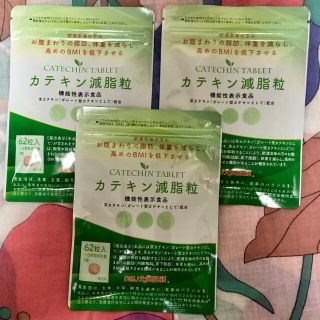 カテキン減脂粒　６２粒　３袋(ダイエット食品)