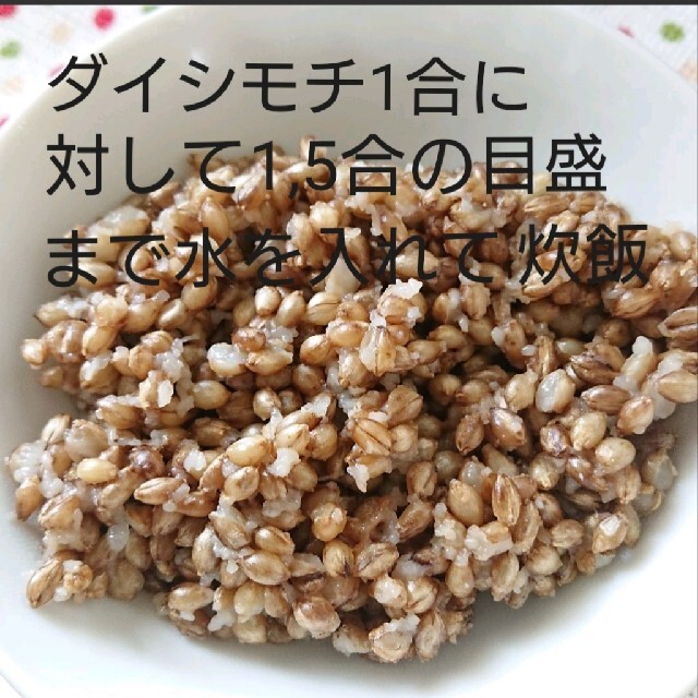 shiho's　by　令和3年産　玄麦の通販　ダイシモチ　shop｜ラクマ