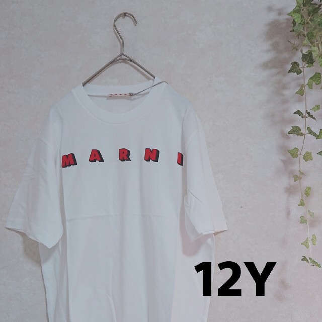 MARNI 大人OK! キッズTシャツ 12Y