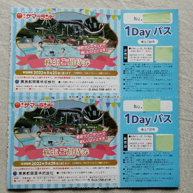 ☆当日爆速発送☆１０名☆メルカリ便☆匿名☆東京サマーランド株主ご