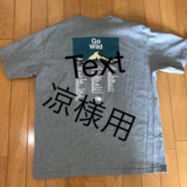 THE NORTH FACE(ザノースフェイス)のノースフェイス Tシャツ　Lサイズ メンズのトップス(Tシャツ/カットソー(半袖/袖なし))の商品写真