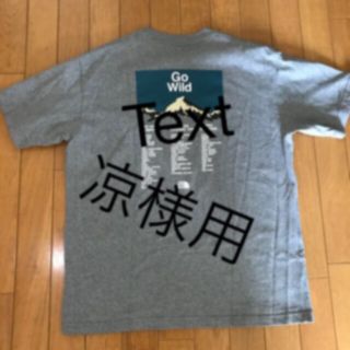 ザノースフェイス(THE NORTH FACE)のノースフェイス Tシャツ　Lサイズ(Tシャツ/カットソー(半袖/袖なし))