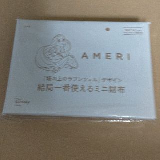 タカラジマシャ(宝島社)の大人MUSE 6月号付録 AMERI ミニ財布 ②(財布)