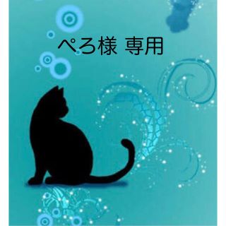 ぺろ様 専用 (2点)(猫)