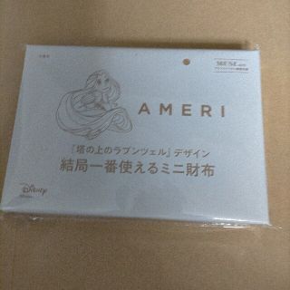 タカラジマシャ(宝島社)の大人MUSE 6月号付録 AMERI ミニ財布 ③(財布)