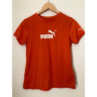 プーマ(PUMA)の☆PUMA プーマ Tシャツ☆(ウェア)
