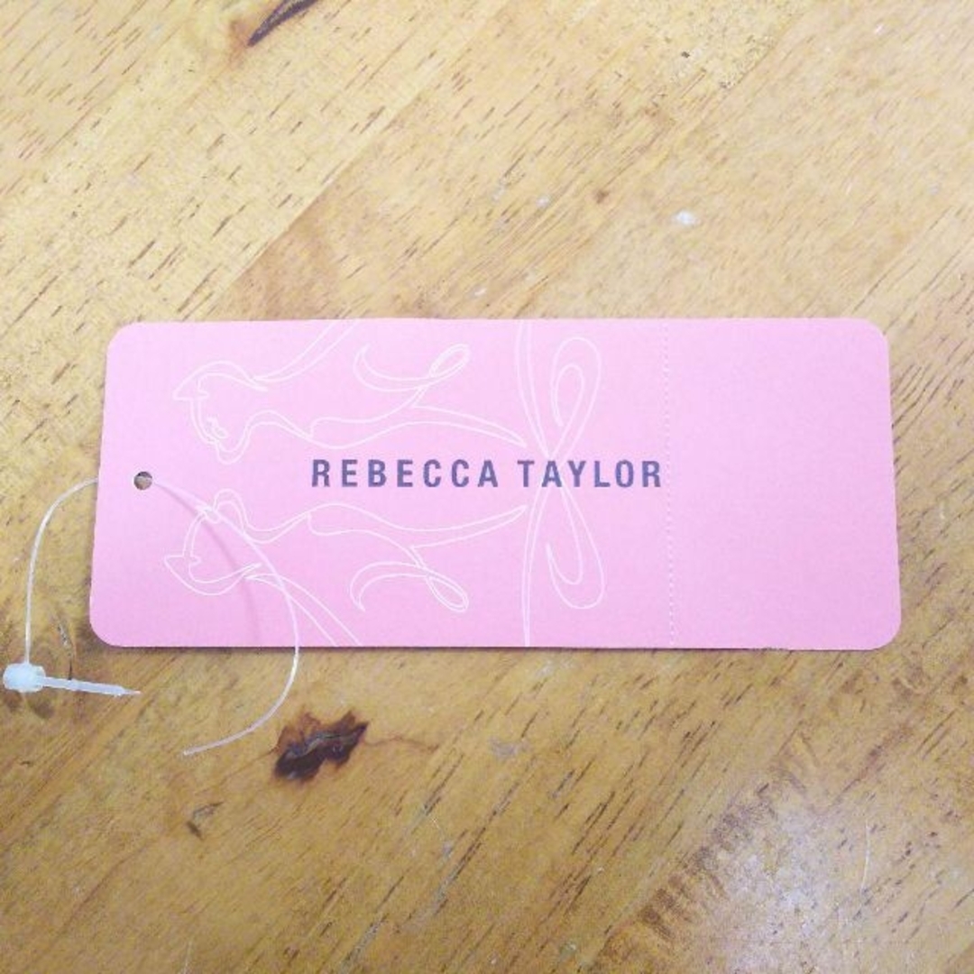 Rebecca Taylor(レベッカテイラー)の新品 レベッカテイラー ワイヤー水着 ビキニ レディースの水着/浴衣(水着)の商品写真