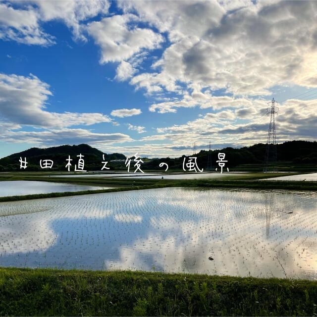 60%OFF】 山の湧き水で育てた 農家のお米 兵庫県産キヌヒカリ 20kg