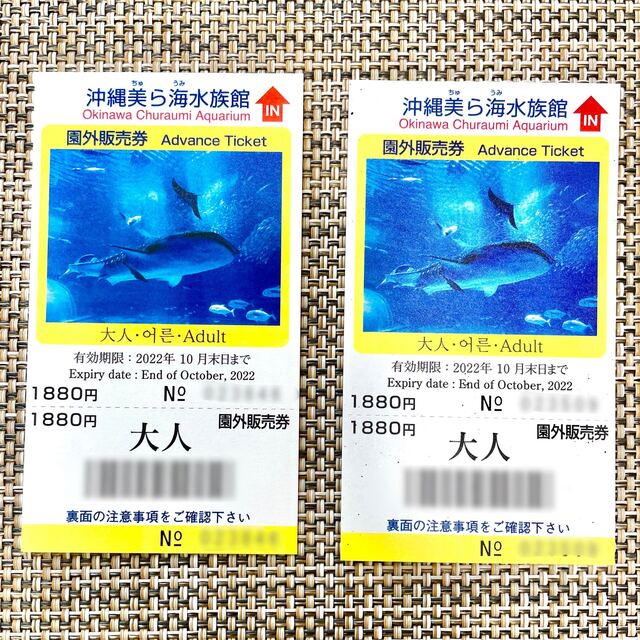 スーパーセール】 沖縄美ら海水族館 大人２名チケット