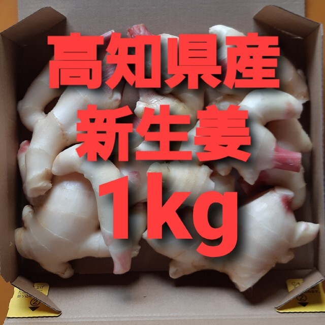 農家直送　高知県産新生姜　1kg 食品/飲料/酒の食品(野菜)の商品写真