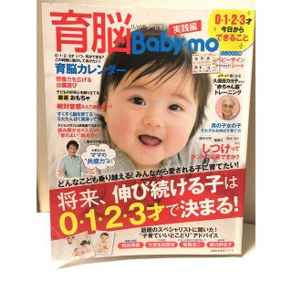 シュフトセイカツシャ(主婦と生活社)の育脳Baby―mo 0・1・2・3才 今日からできること(結婚/出産/子育て)