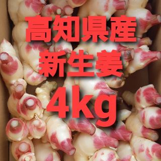 農家直送　高知県産新生姜　4kg(野菜)