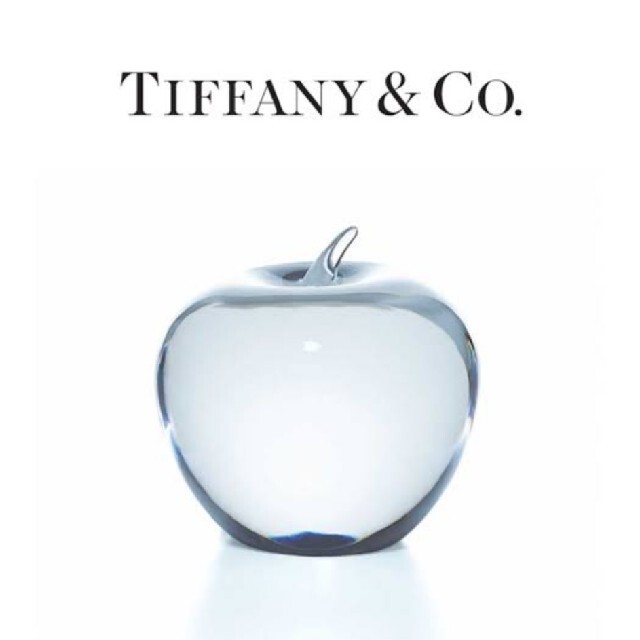 Tiffany & Co.(ティファニー)の【koshix1030様専用】Tiffanyペーパーウェイト2個セット インテリア/住まい/日用品のインテリア小物(置物)の商品写真