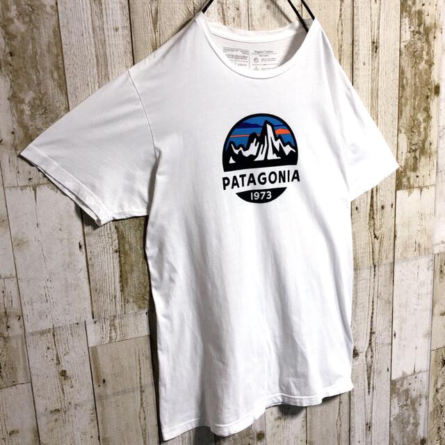 パタゴニア ビッグロゴ 表記M 着用感L ホワイト 白 ゆるダボ Tシャツ