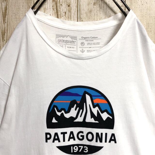 patagonia(パタゴニア)のパタゴニア ビッグロゴ 表記M 着用感L ホワイト 白 ゆるダボ Tシャツ メンズのトップス(Tシャツ/カットソー(半袖/袖なし))の商品写真