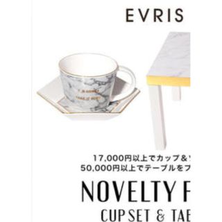 エヴリス(EVRIS)のEVRIS ノベルティ カップセット 新品未使用(グラス/カップ)