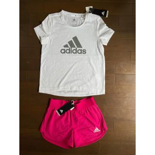 アディダス(adidas)の新品　☆アディダス☆  Ｔシャツ&ショートパンツ　セットアップ(パンツ/スパッツ)