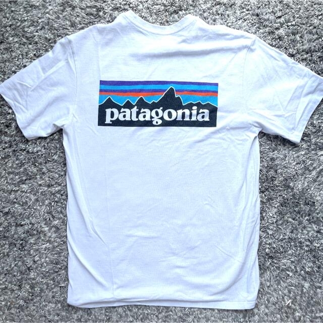 patagonia(パタゴニア)の【patagonia】美品！ パタゴニア メンズ Tシャツ XS ホワイト メンズのトップス(Tシャツ/カットソー(半袖/袖なし))の商品写真