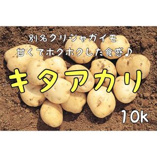 茨城県産無農薬キタアカリ10k(箱込み)(野菜)