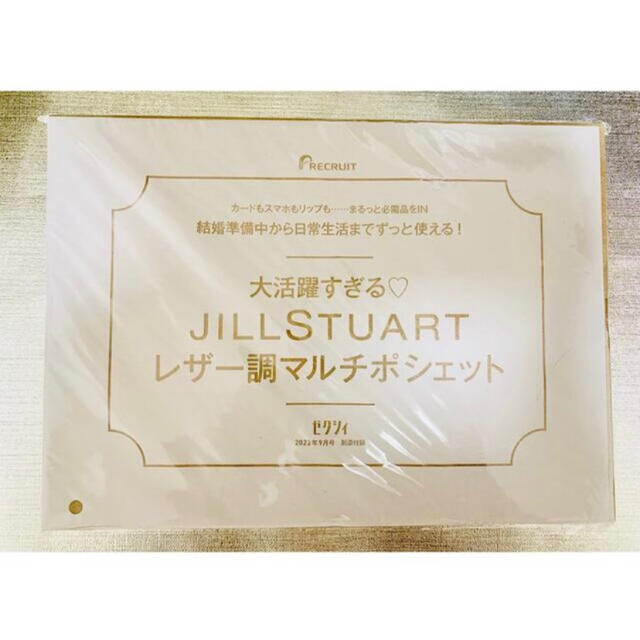 JILLSTUART(ジルスチュアート)の【新品未使用品】JILL STUART レザー調マルチポシェット レディースのファッション小物(ポーチ)の商品写真