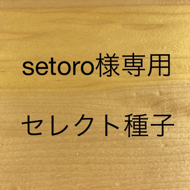 setoro様専用　セレクト種子　7袋 食品/飲料/酒の食品(野菜)の商品写真