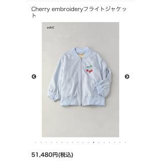 ジェーンマープル(JaneMarple)のジェーンマープルCherry embroidery flight jacket(ナイロンジャケット)