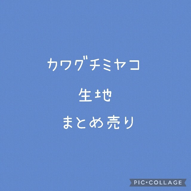 カワグチミヤコ 生地 注文割引 -日本全国へ全品配達