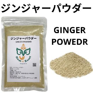 ジンジャーパウダー100g(調味料)