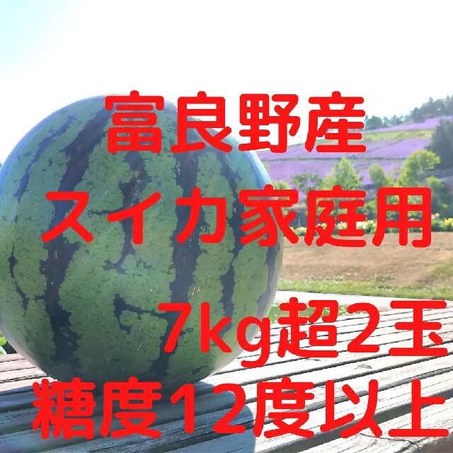北海道　富良野産　スイカ　7kg超2玉　ハネ品