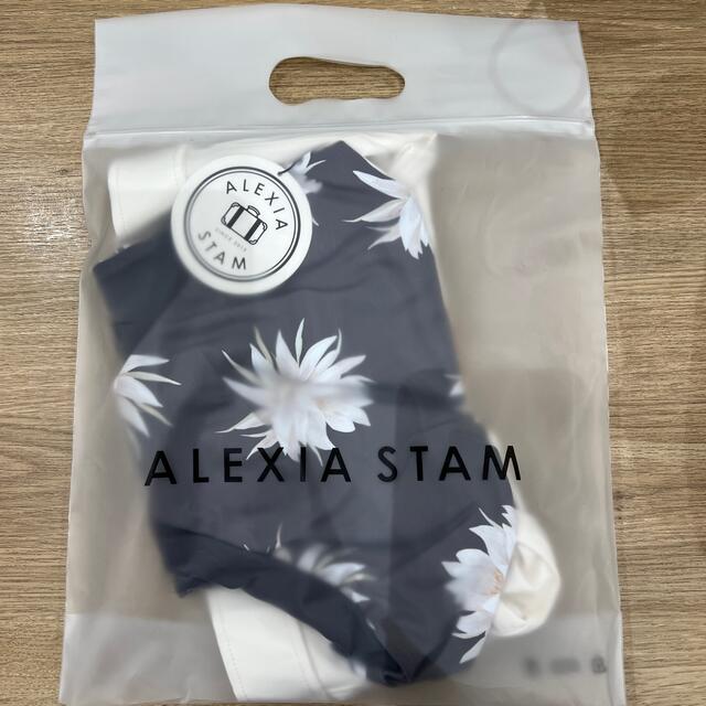 ALEXIA STAM(アリシアスタン)の【新品・未使用】アリシアスタン ALEXIA STAM ケイトリン レディースの水着/浴衣(水着)の商品写真