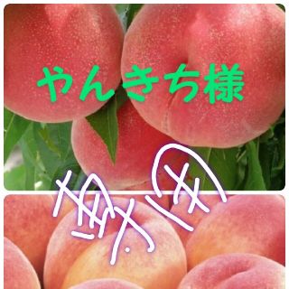 🍑やんきち様🍑あかつき5キロ🍑(フルーツ)