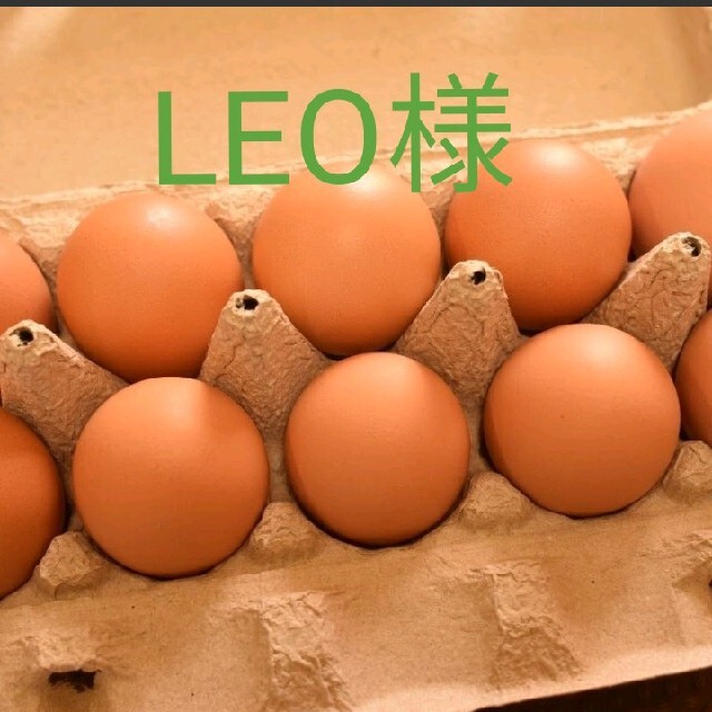 LEO様専用　平飼い卵60個 食品/飲料/酒の食品(野菜)の商品写真