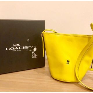 コーチ(COACH) ウッドストックの通販 100点以上 | コーチを買うならラクマ