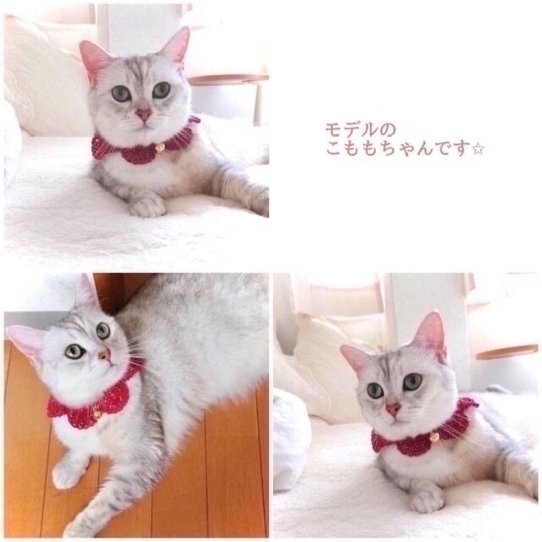 オーダーメイドの首輪 犬 猫 つけ襟 かぎ編みハンドメイド その他のペット用品(猫)の商品写真