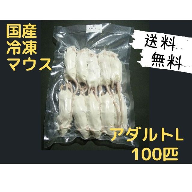 国産冷凍マウス アダルトL 100匹