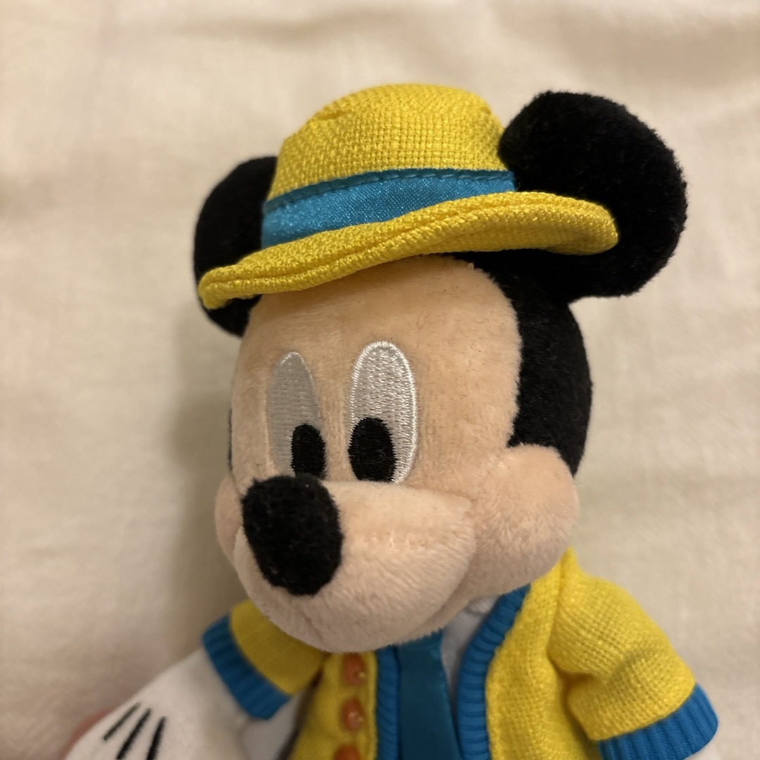 Disney(ディズニー)のディズニー　バケーションパッケージ　チケットホルダー　ぬいぐるみバッチ エンタメ/ホビーのおもちゃ/ぬいぐるみ(キャラクターグッズ)の商品写真