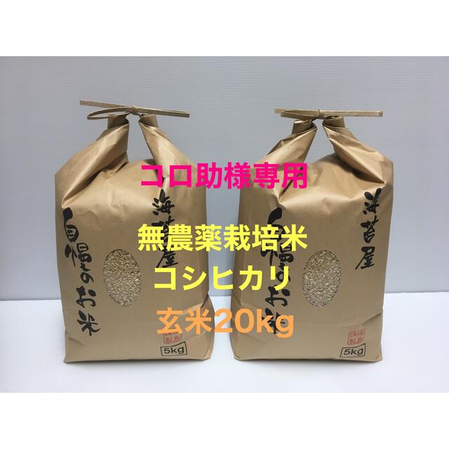 コロ助様専用 無農薬コシヒカリ玄米20kg(5kg×4)令和3年 徳島県産のサムネイル
