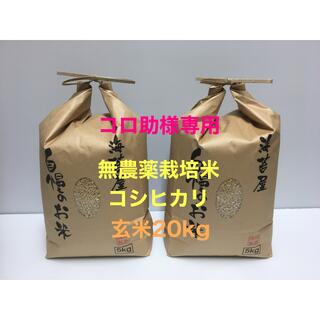 コロ助様専用 無農薬コシヒカリ玄米20kg(5kg×4)令和3年 徳島県産の通販