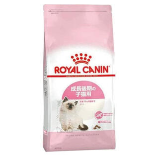 ロイヤルカナン(ROYAL CANIN)のロイヤルカナン　キトン　2kg(ペットフード)