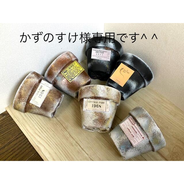 多肉植物リメイク缶鉢寄せ植えにどうぞ^ ^かずのすけ様専用です^ ^ ハンドメイドのフラワー/ガーデン(その他)の商品写真