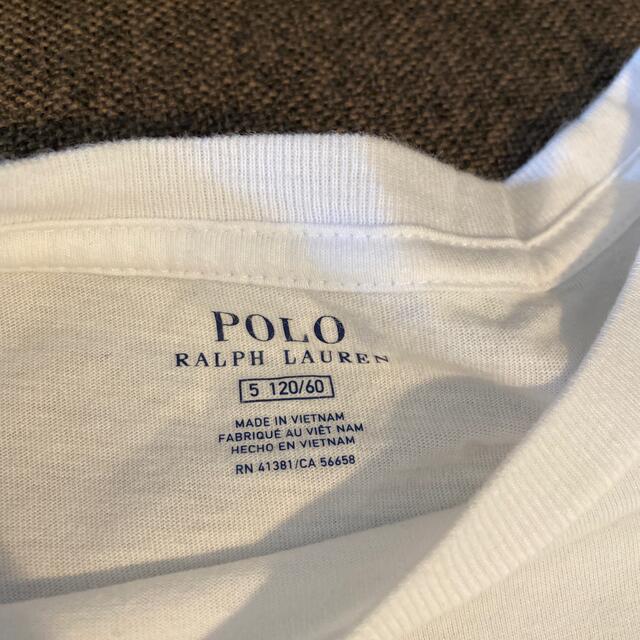 Ralph Lauren(ラルフローレン)の直営店購入　ラルフローレン ベア Tシャツ 120 クマ キッズ/ベビー/マタニティのキッズ服男の子用(90cm~)(Tシャツ/カットソー)の商品写真