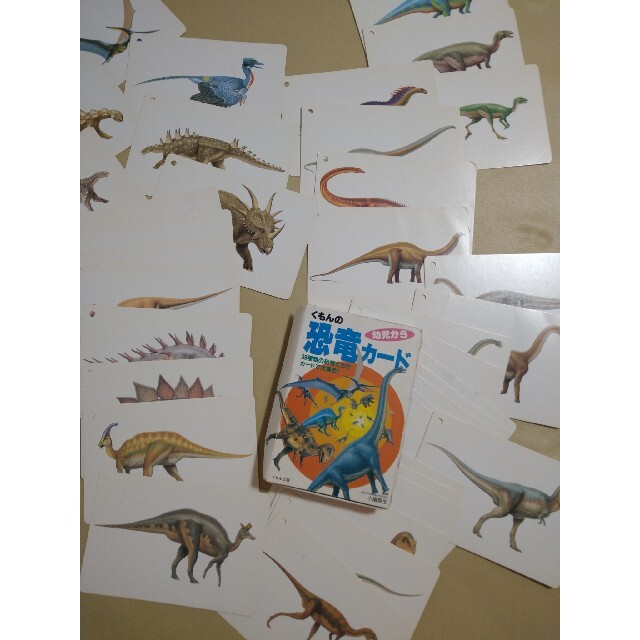 KUMON(クモン)の知育　くもん　恐竜　カード キッズ/ベビー/マタニティのおもちゃ(知育玩具)の商品写真