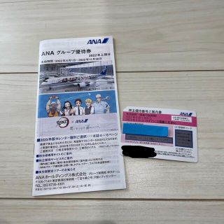 エーエヌエー(ゼンニッポンクウユ)(ANA(全日本空輸))のANA 株主優待　国内線搭乗割引券　優待券(その他)