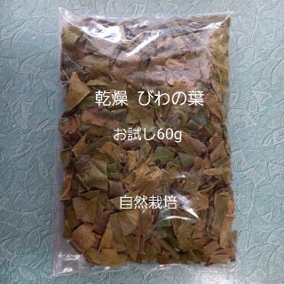 びわの葉　乾燥　お試し60g　無農薬(健康茶)